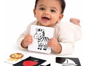 clever fox 3 stage baby flash cards | 32 high contrast b&w to full color sensory objects | montessori tummy time newborn toys | 0 18 months | educational development
