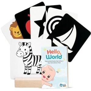 Baby Flash Cards